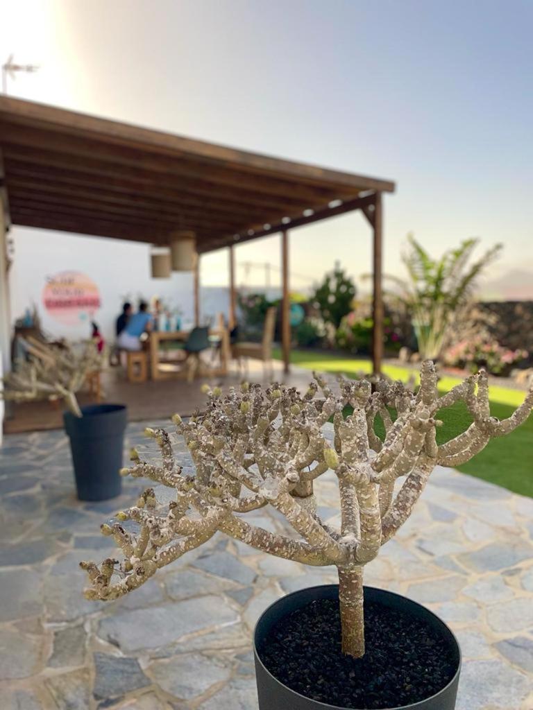 Agua Guesthouse Lajares Villa Con Jacuzzi מראה חיצוני תמונה